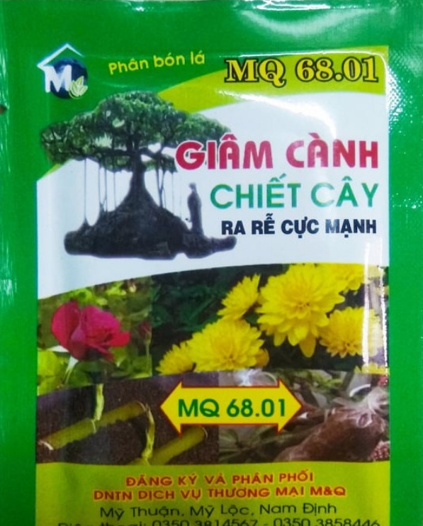 Phân bón ra rễ cực mạnh cho Giâm cành, chiết cây