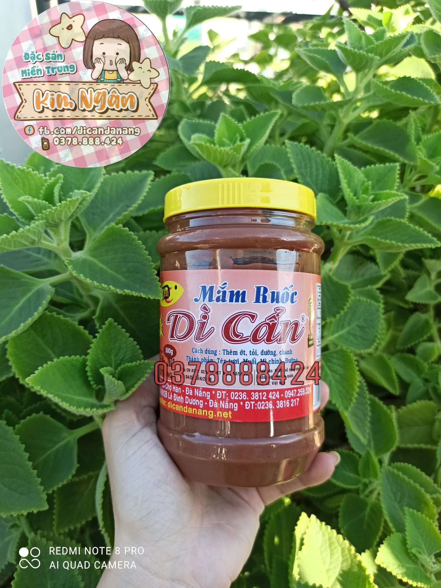 [HCM]2 hủ Mắm Ruốc Dì Cẩn 500g