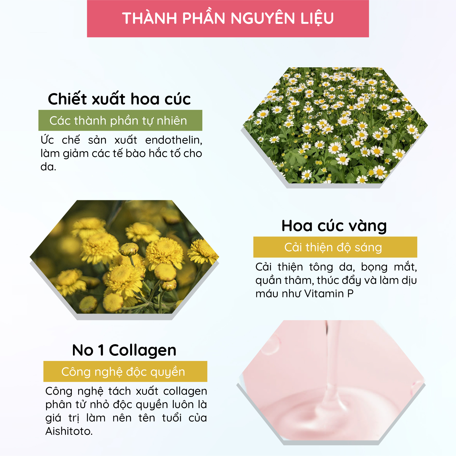 Kem dưỡng trắng cao cấp Aishitoto Premium White (30g)