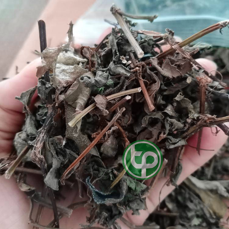 Cây sài đất sấy khô 500g - Hàng sạch thơm cao cấp - Thảo Dược Tấn Phát