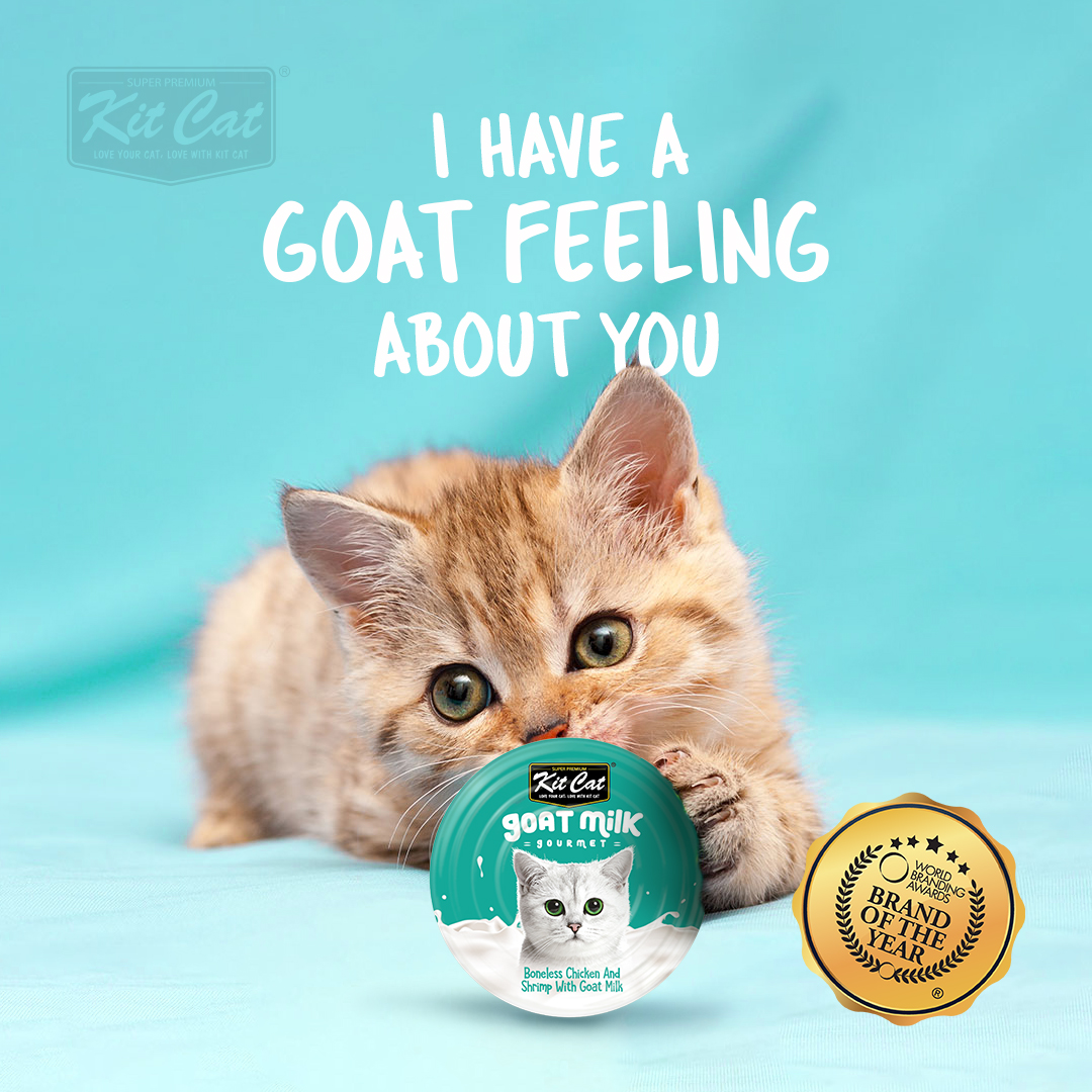 Kitcat Goat Milk Wet Cat Food - Special Flavor from Goat Milk - Nutritious Food for Cats - Delicious Flavor - Convenient Packaging - Suitable for Adult Cats