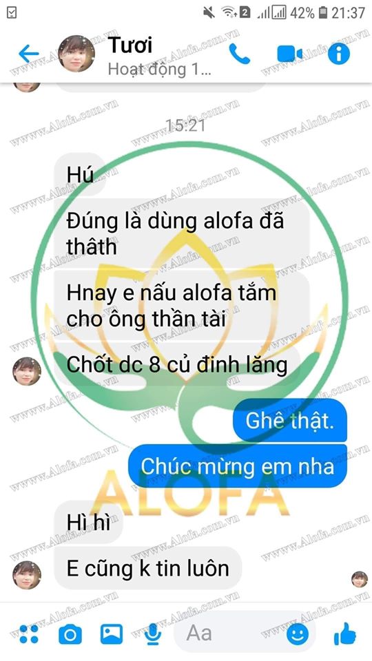 2 hộp bột phong thủy alofa( mẫu mới date 2025 )