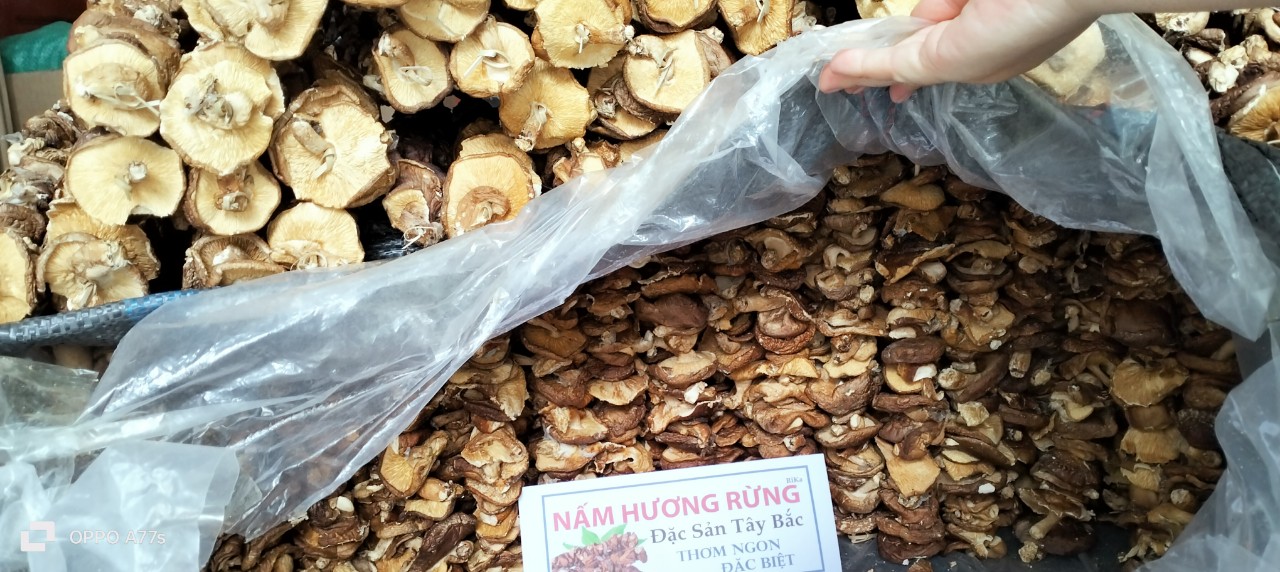 Nấm hương rừng 200gr