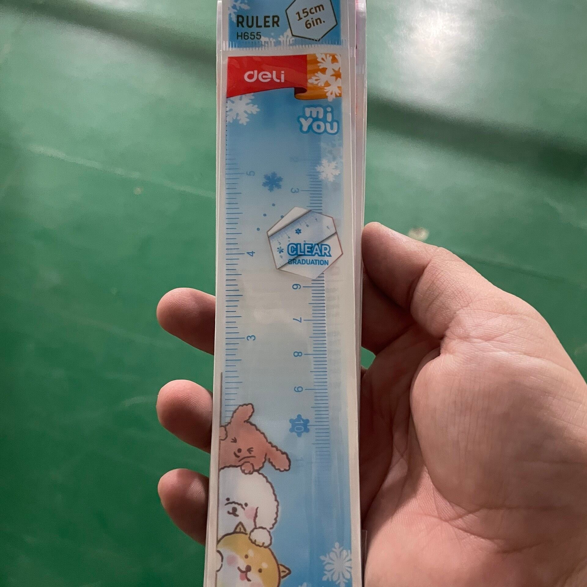 Combo 5 Cây Thước kẻ nhựa cứng mica 15cm Deli EH655
