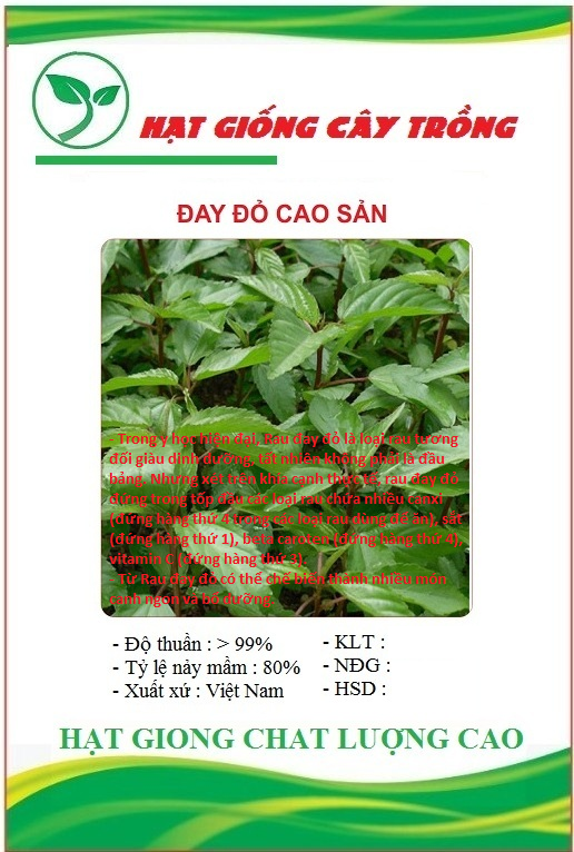 Hạt Giống cà tím dài /gói 0,2 gram(tặng kèm phân bón)