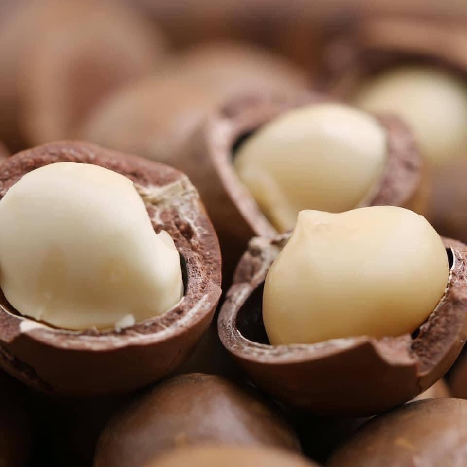 500gr Hạt Macca Úc Macadamias Australia