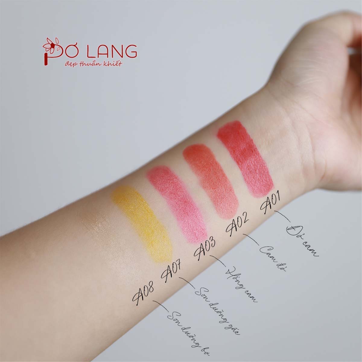 Combo Dưỡng mềm, Môi xinh (son bơ + son gấc)