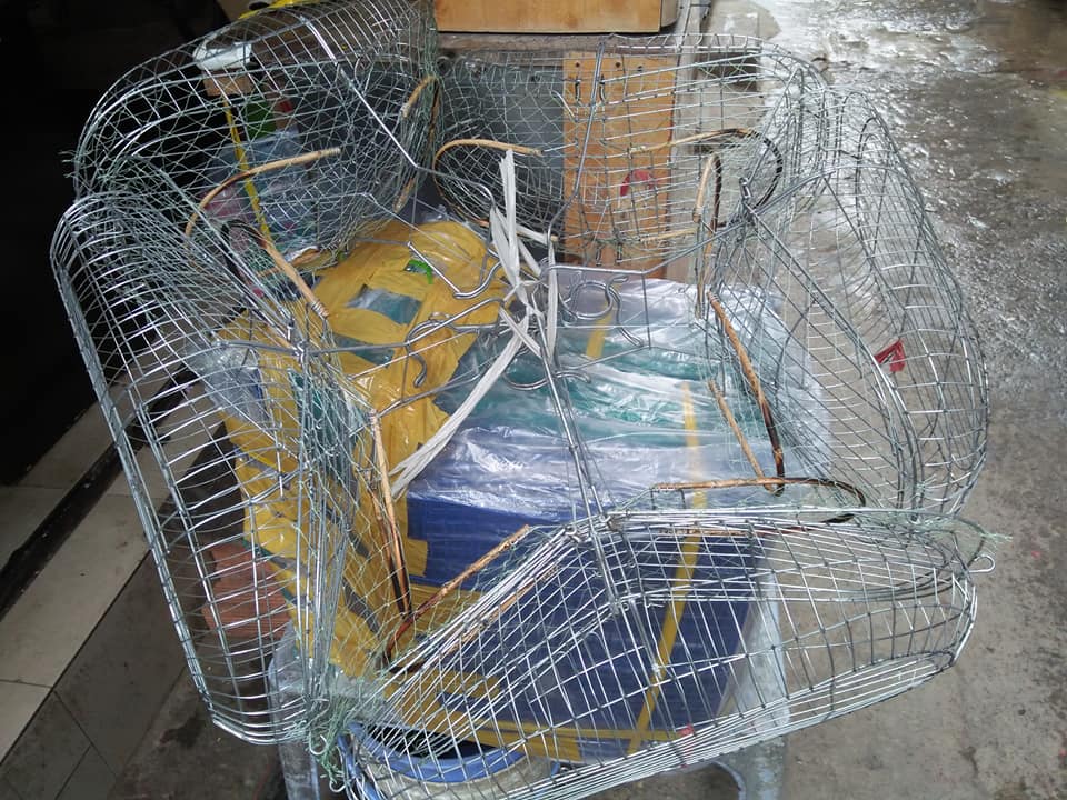 Lồng bẫy chim chích chèo lửa