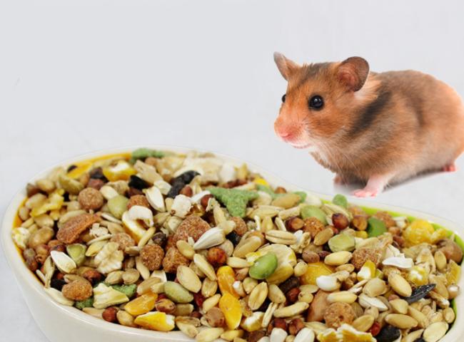 THỨC ĂN FULLVIT JOLLY VITAMIN CHO HAMSTER 400G