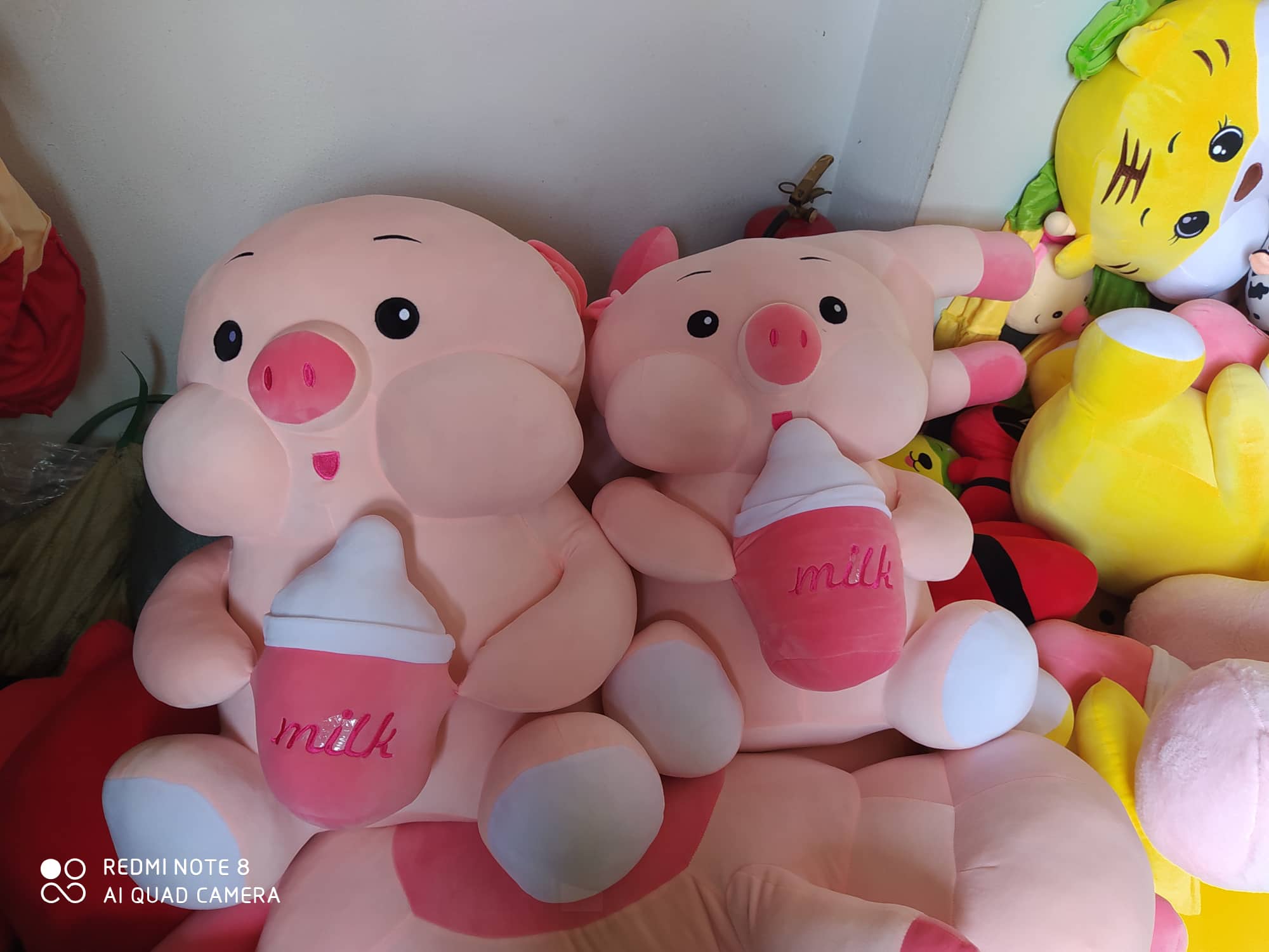 Gấu Bông Heo bông  ôm bình sữa