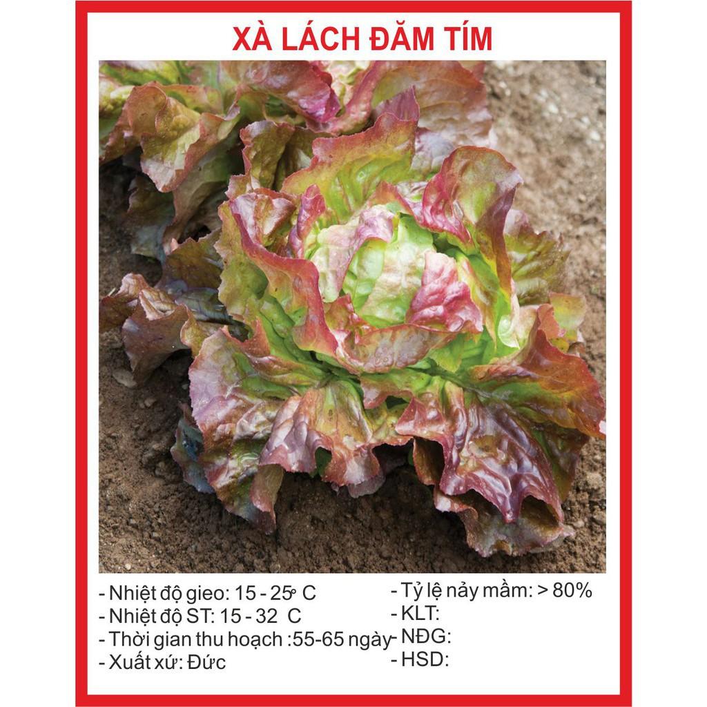 Hạt Giống Rau Xà Lách Đăm Tím - 0.2 Gram