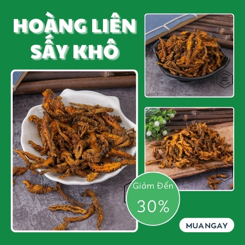 [Hàng khô cao cấp] Hoàng liên khô túi 100g - Dược Tấn Phát