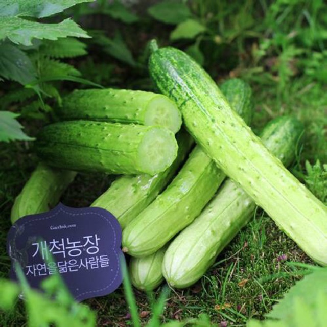 Hạt Giống Dưa Chuột Hàn Quốc