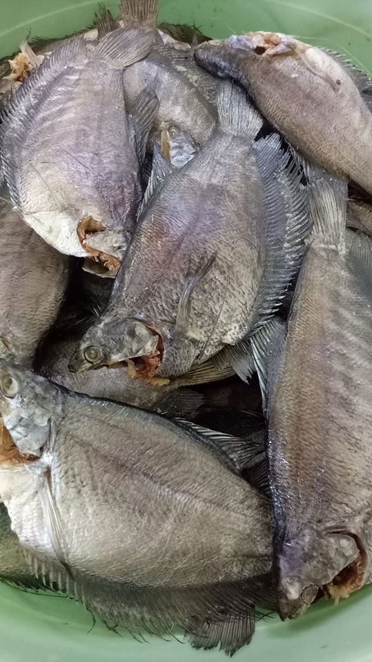 Khô Sặc rằn 1 kí (loại 14 con) đặc sản U Minh Cà Mau