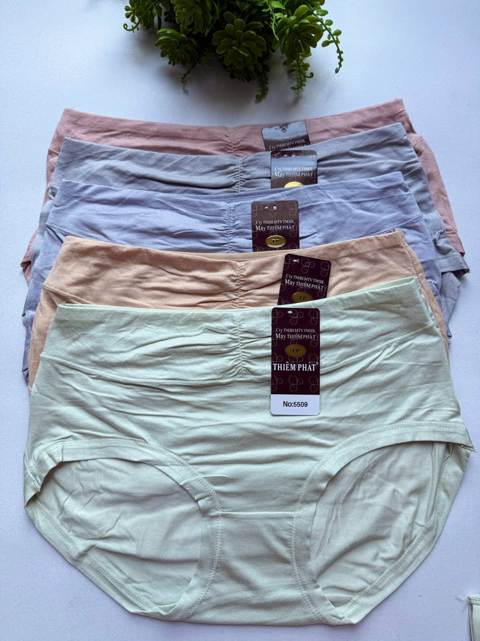 [5509]combo 5 quần lót nữ cotton cao cấp 45kg đến 60kg
