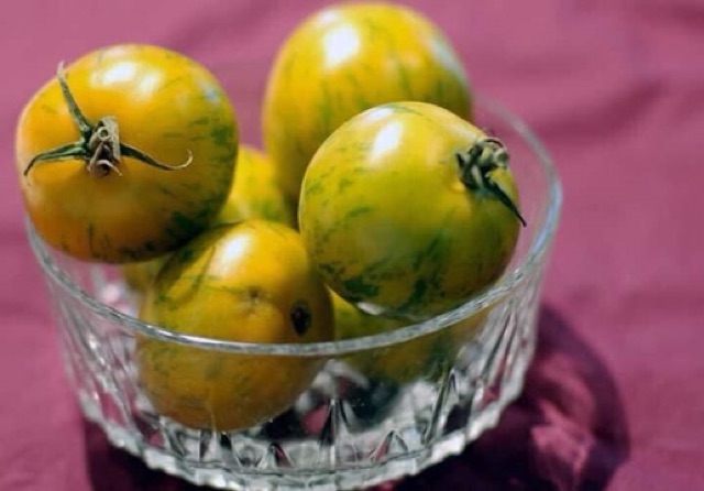 HẠT GIỐNG CÀ CHUA ZEZA VÀNG