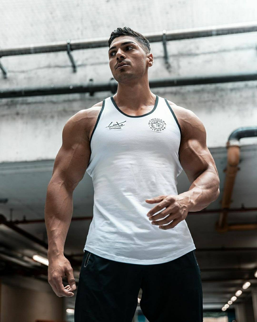 Áo Ba Lỗ Gym Shark Mới Nhất Năm 2020