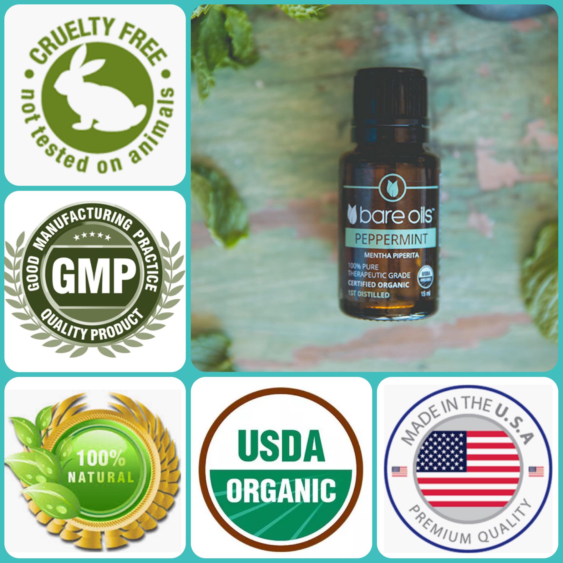 Tinh dầu bạc hà - Peppermint Essential Oil (Tinh dầu hữu cơ Bare Oils - USDA Organic) 15ml