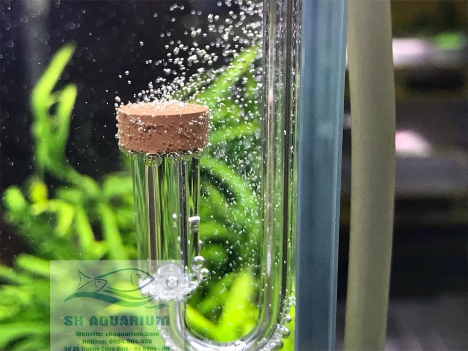 [HOÀN TIỀN 10%]SỦI CO2 SIÊU MỊN NEO S ORIGINAL
