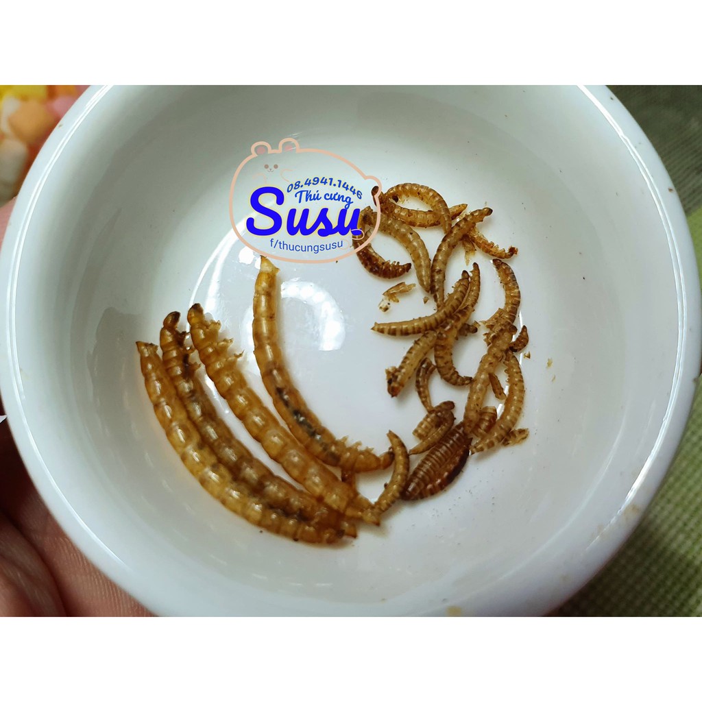 Sâu lớn rang bơ cho Hamster