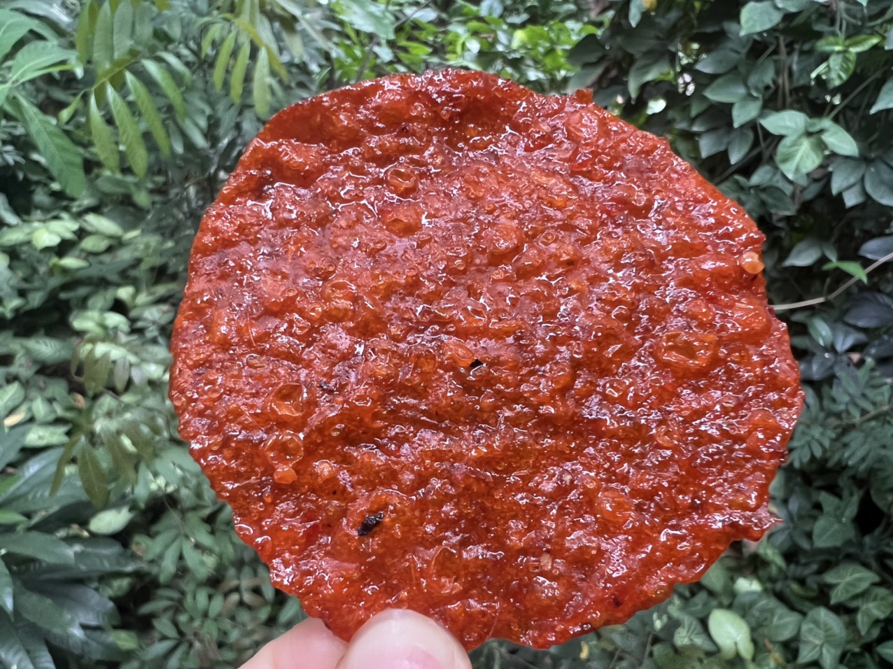 3 CON CÁ BÒ NƯỚNG SA TẾ ĐÀ NẴNG KHÁCH ĂN THỬ