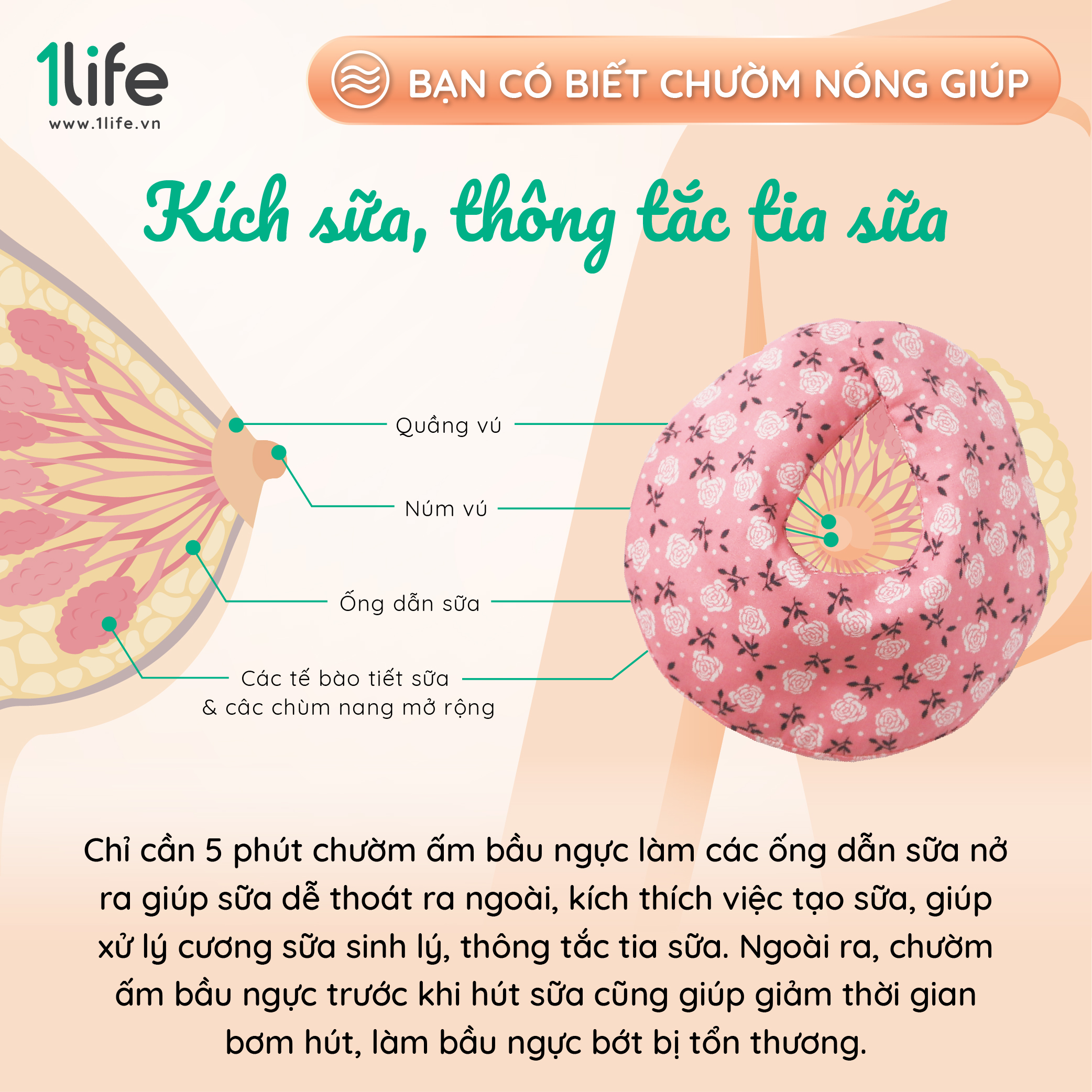 [FOLLOW1LIFE] Túi Thảo Mộc 1LIFE Chườm Bầu Ngực