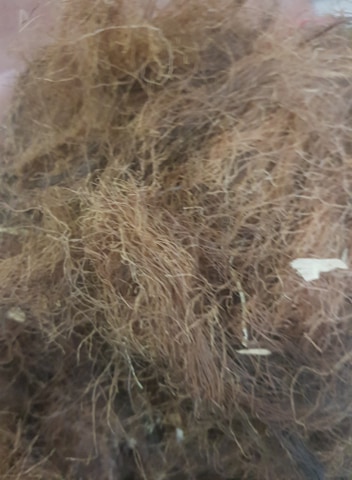 100g trà râu ngô