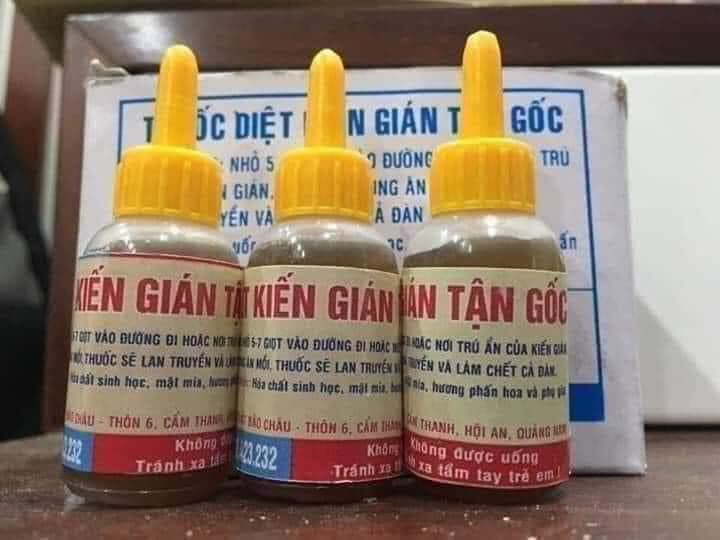 diệt kiến, diệt gián tận gốc
