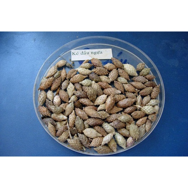 Dried Horse Head 500Gr, First Class Product Gt242