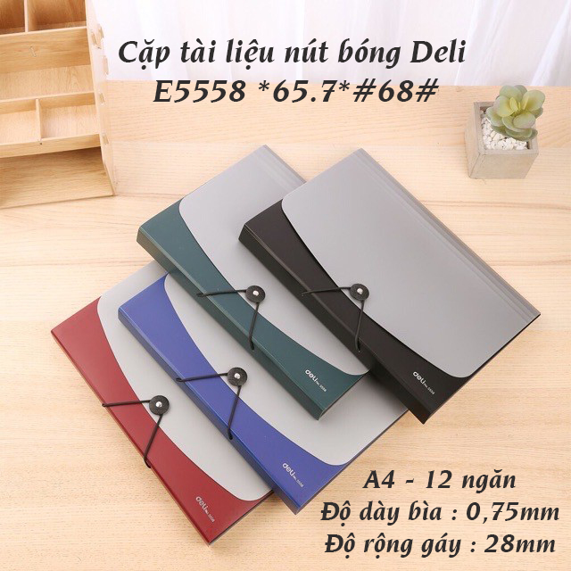 Cặp tài liệu nút bóng a4 13 ngăn deli e5558