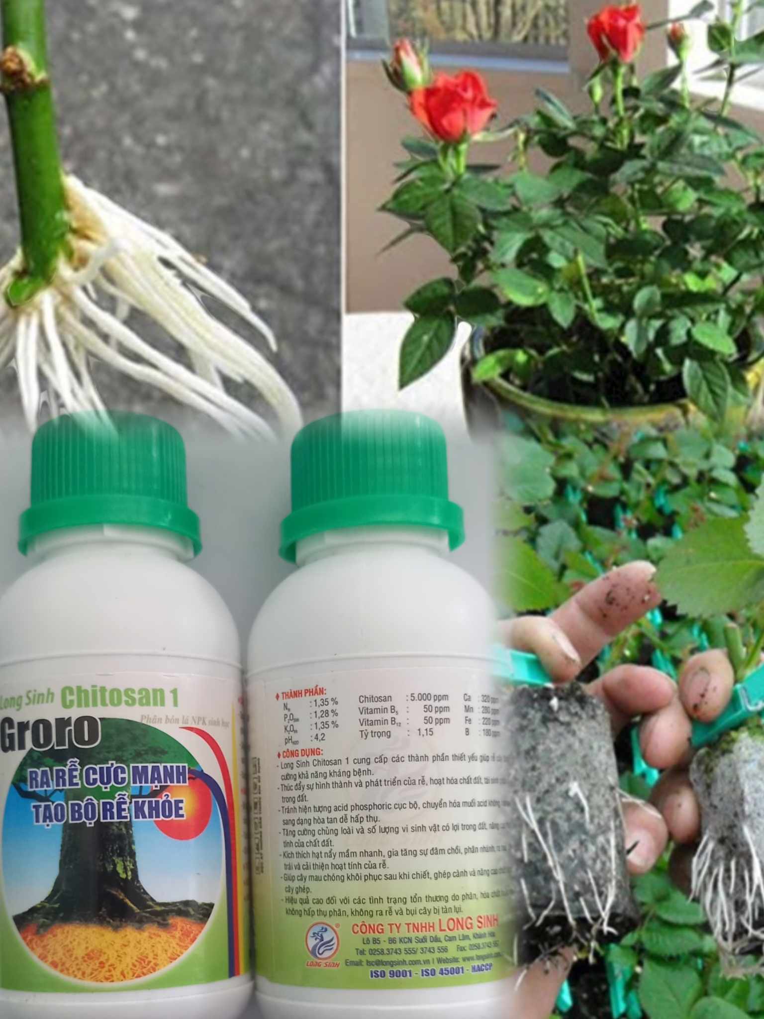 Phân bón kích ra rễ cực mạnh Groro Chitosan (chai 100ml), cho tất cả các cây trồng