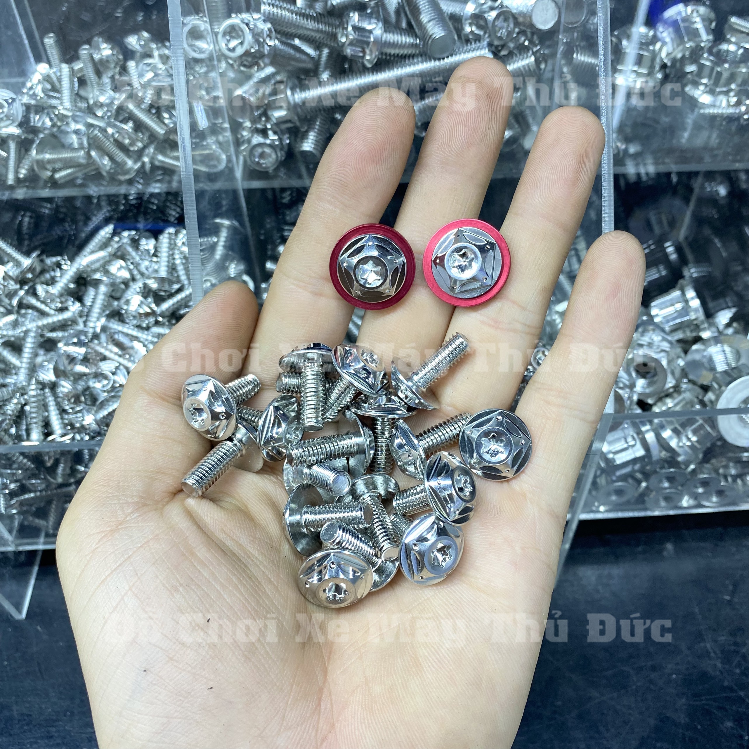 Ốc Salaya 6li 20 Gắn Dàn áo, Dè