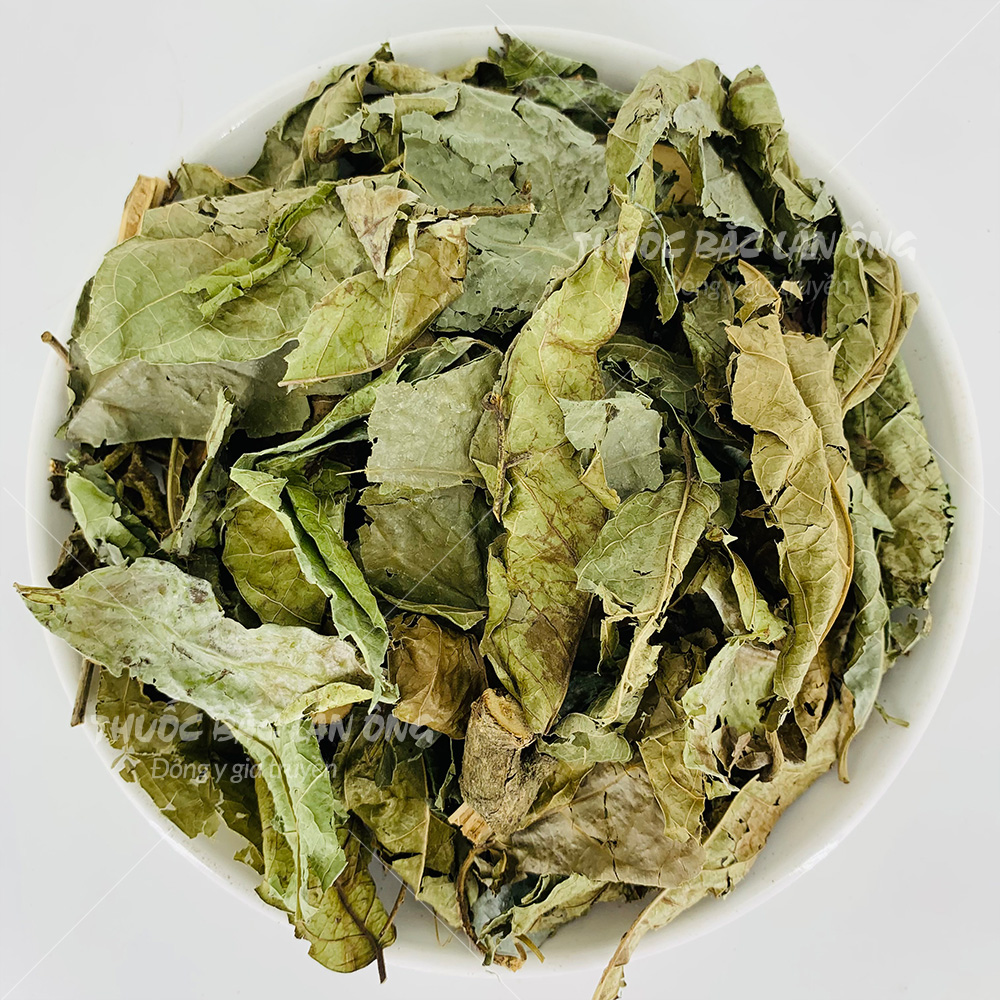 Xạ đen Hoà Bình 2kg, khô, sạch, nguyên lá, hỗ trợ giải độc gan, giảm tiểu đường, phòng ngừa ung thư