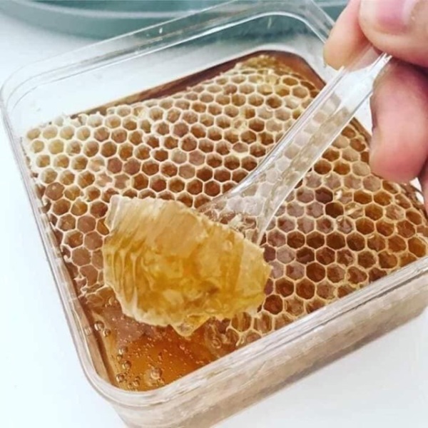 [ĐẶC SẢN] Mật ong bánh tổ tươi 500g nguyên chất daklak cam kết không pha tạp