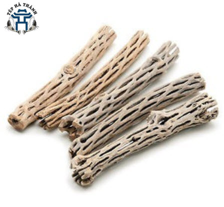 Lũa Cholla Cactus cho bể tép