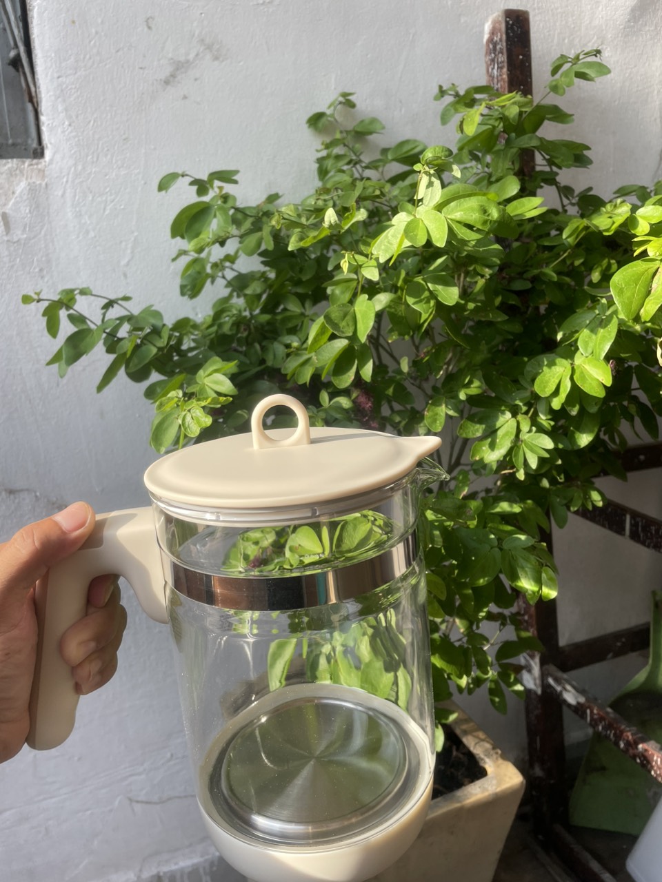 BÌNH THỦY TINH THAY THẾ Moaz- MB002- 700W
