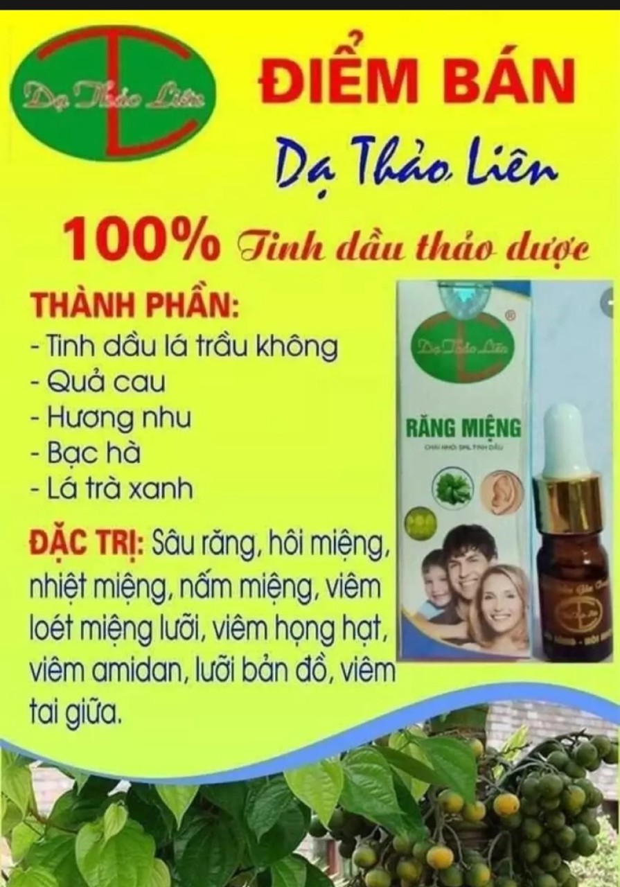 Tinh dầu răng miệng Dạ Thảo Liên chuẩn công ty