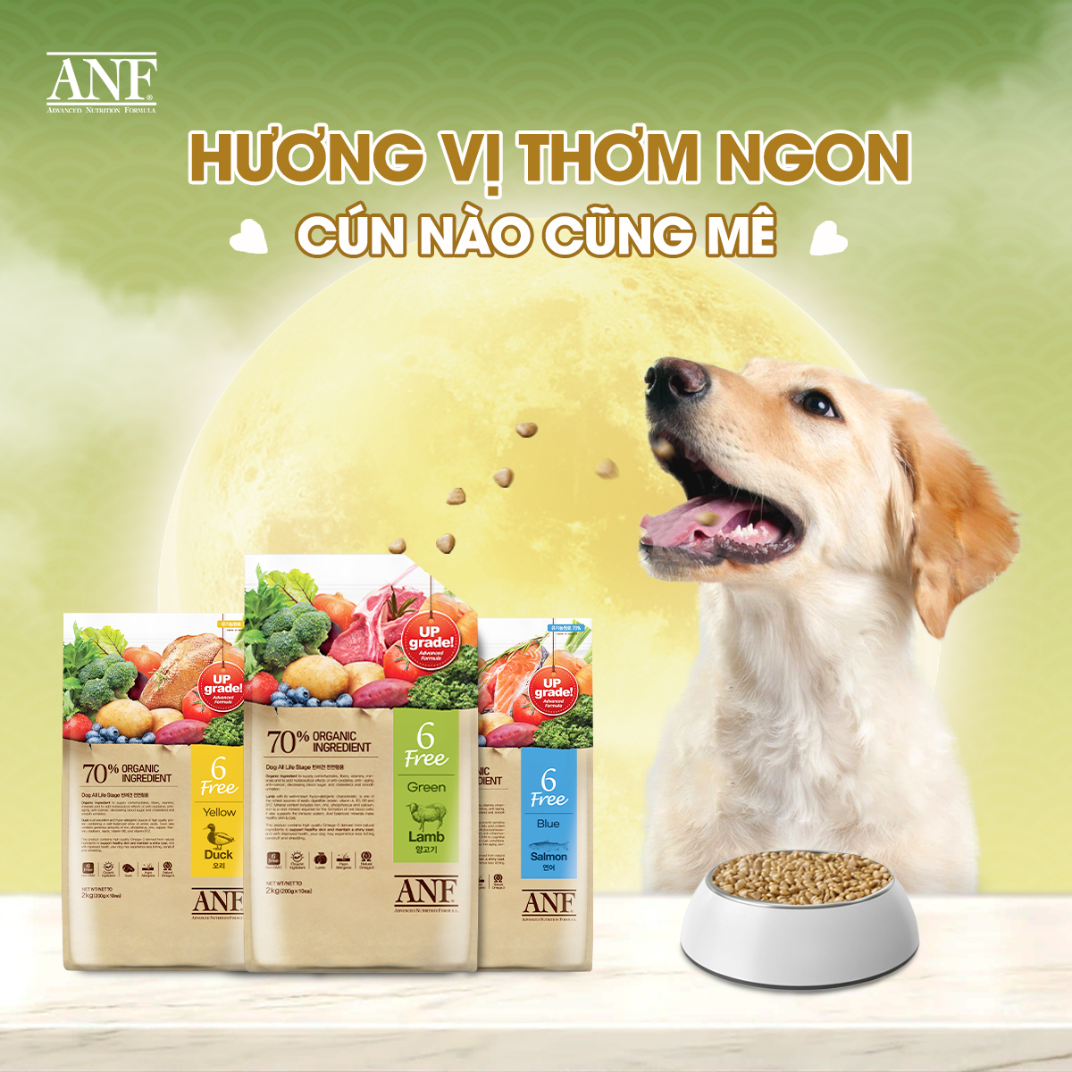 thức ăn ANF 6Free cho chó loại 2kg ( nguyên liệu hữu cơ )  - T3 PETS SHOP