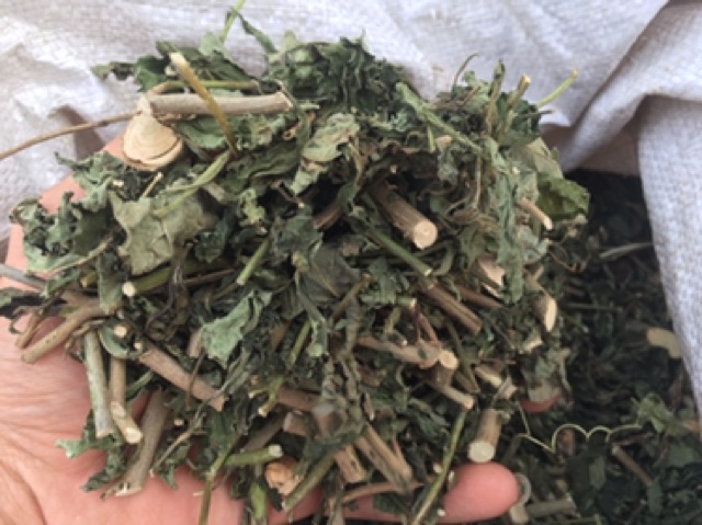 Giá tốt1kg cây đuôi chuột hoà bình