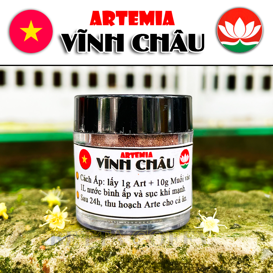 Trứng Artemia Vĩnh Châu VN - Dùng cho cá con mới nở mới đẻ betta guppy Trứng sấy khô cho cá cảnh 🐣