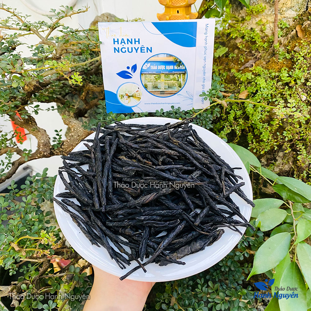 Trà đắng Cao Bằng 1kg, chè đắng thơm, sạch, chuẩn hương vị Tây Bắc, giảm cân, giảm mỡ máu, trẻ hóa, ổn định huyết áp - Thảo Dược Hanh Nguyên