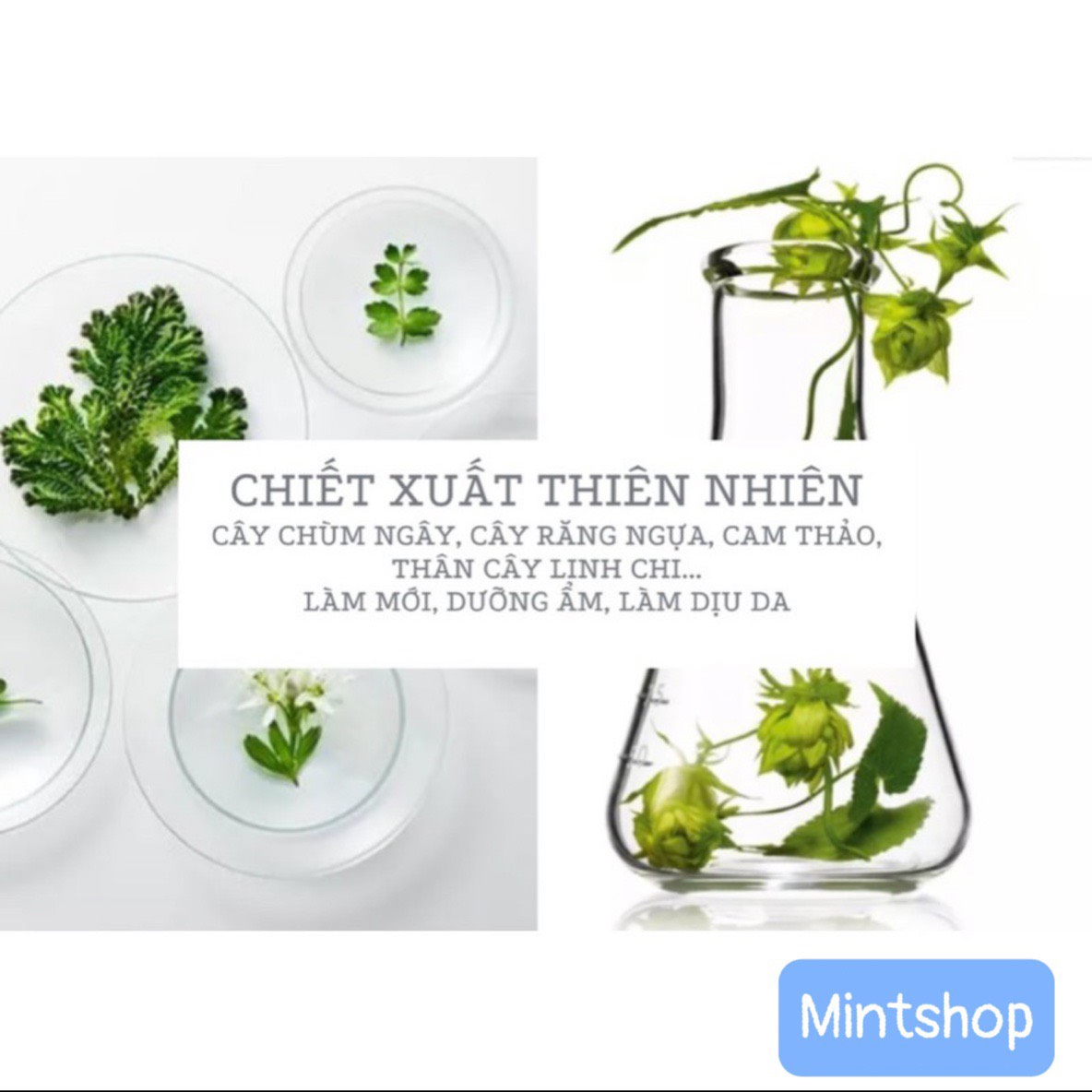 LUCENBASE XỊT KHOÁNG 150ml