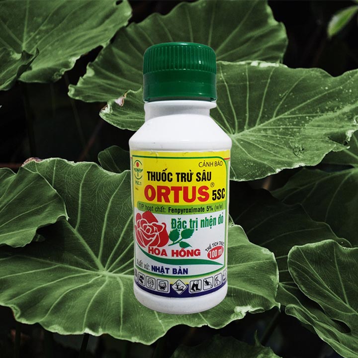 Thuốc trừ nhện đỏ trên hoa hồng Ortus 5SC 100ml