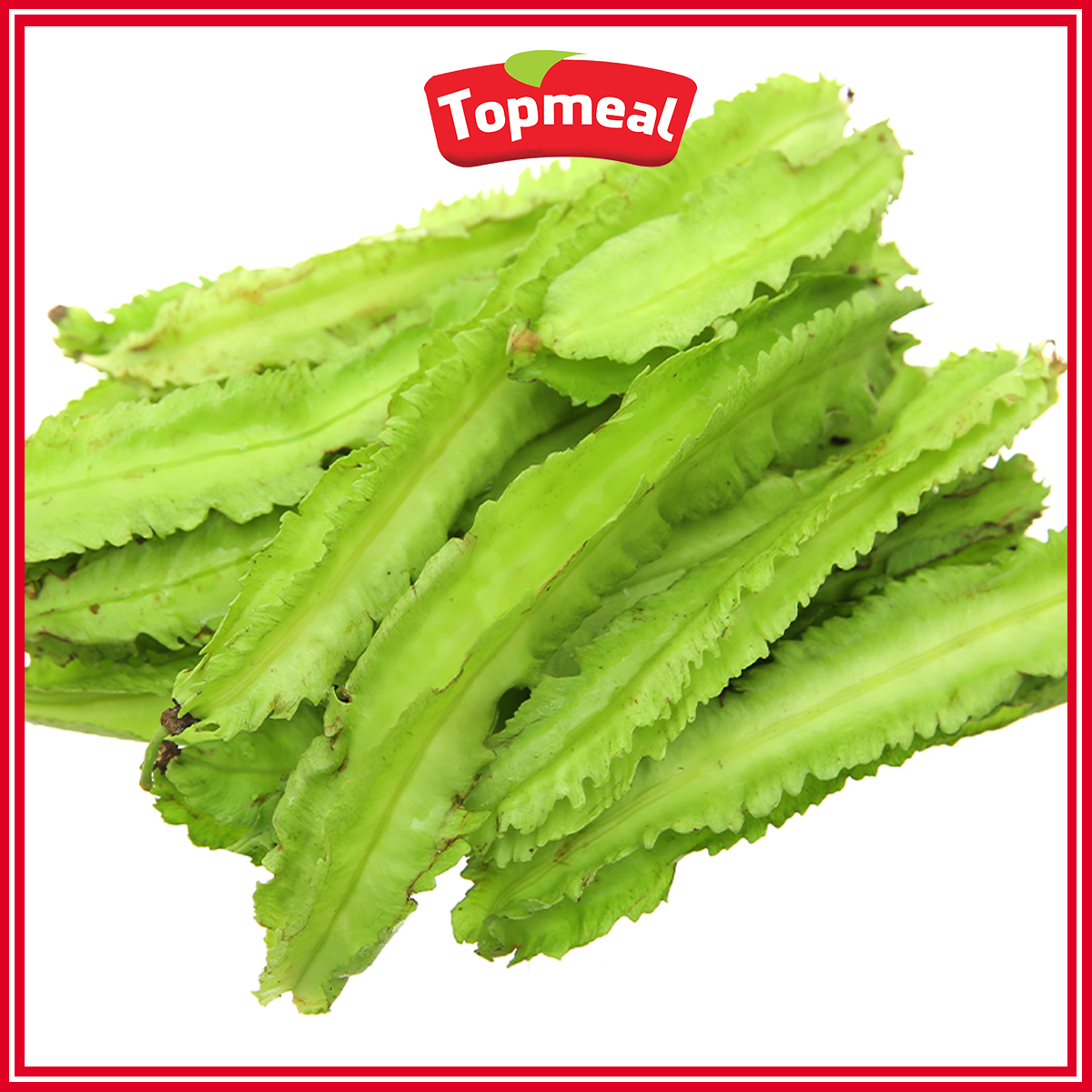 HCM - Đậu rồng (500 g) - [Giao nhanh TPHCM]