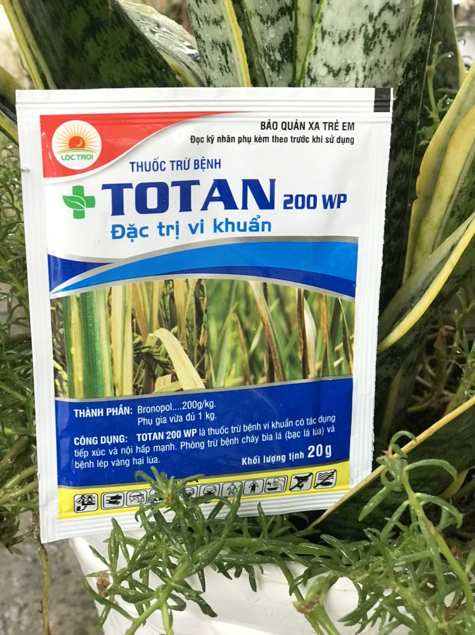 Totan đặc trừ vi khuẩn gói 20gr