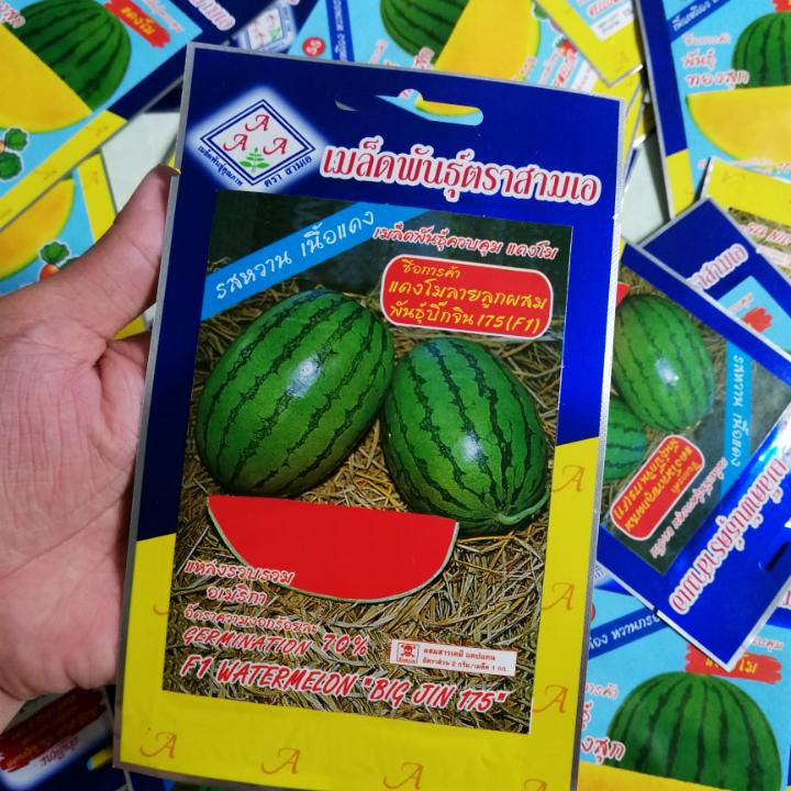 [HCM]Hạt giống dưa hấu đỏ không hạt thái lan