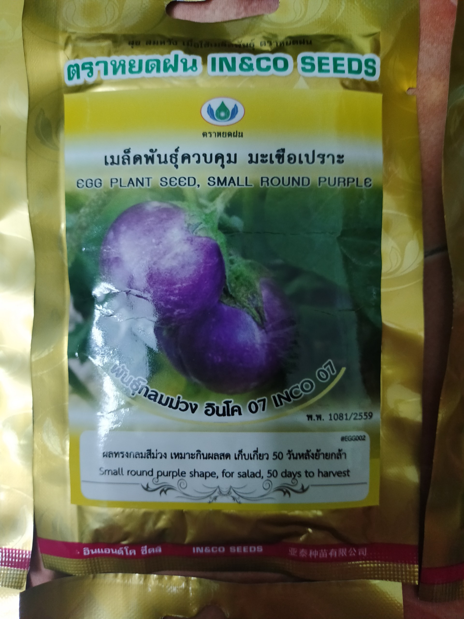hạt giống cà pháo tím nhập khẩu thái lan