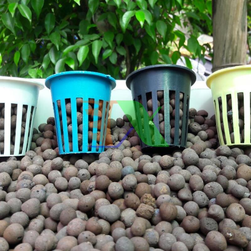 Set 100 gabion hydroponic growing D57, gabion plastic hydroponic, Cup planting hydroponic vegetables, gabion đựng price can hydroponic