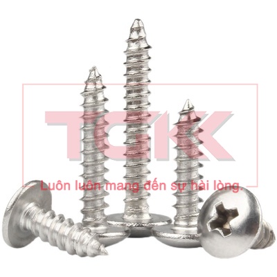 Vít bắt gỗ inox 201 chỏm cầu to M5 (Túi 10)