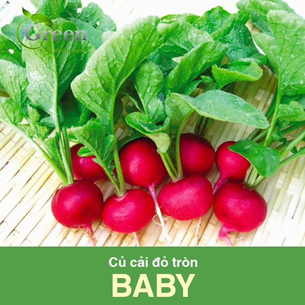 Hạt Giống Củ Cải Đỏ Tròn Baby Nhật Bản Dễ Trồng, Nhanh Thu Hoạch (Gói 2 gam ~ 200 hạt)